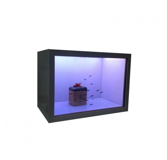 42'' Transparent LCD Showcase (NS-TS062)